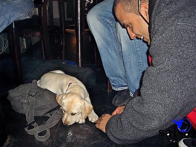 salsafestival-munich2005saws-0021