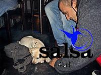 salsafestival-munich2005saws-0021