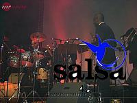 salsafestival zuerich2007 0053